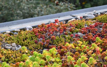 the cost of Tolpuddle green roof installation