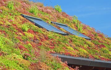 Tolpuddle living roof systems